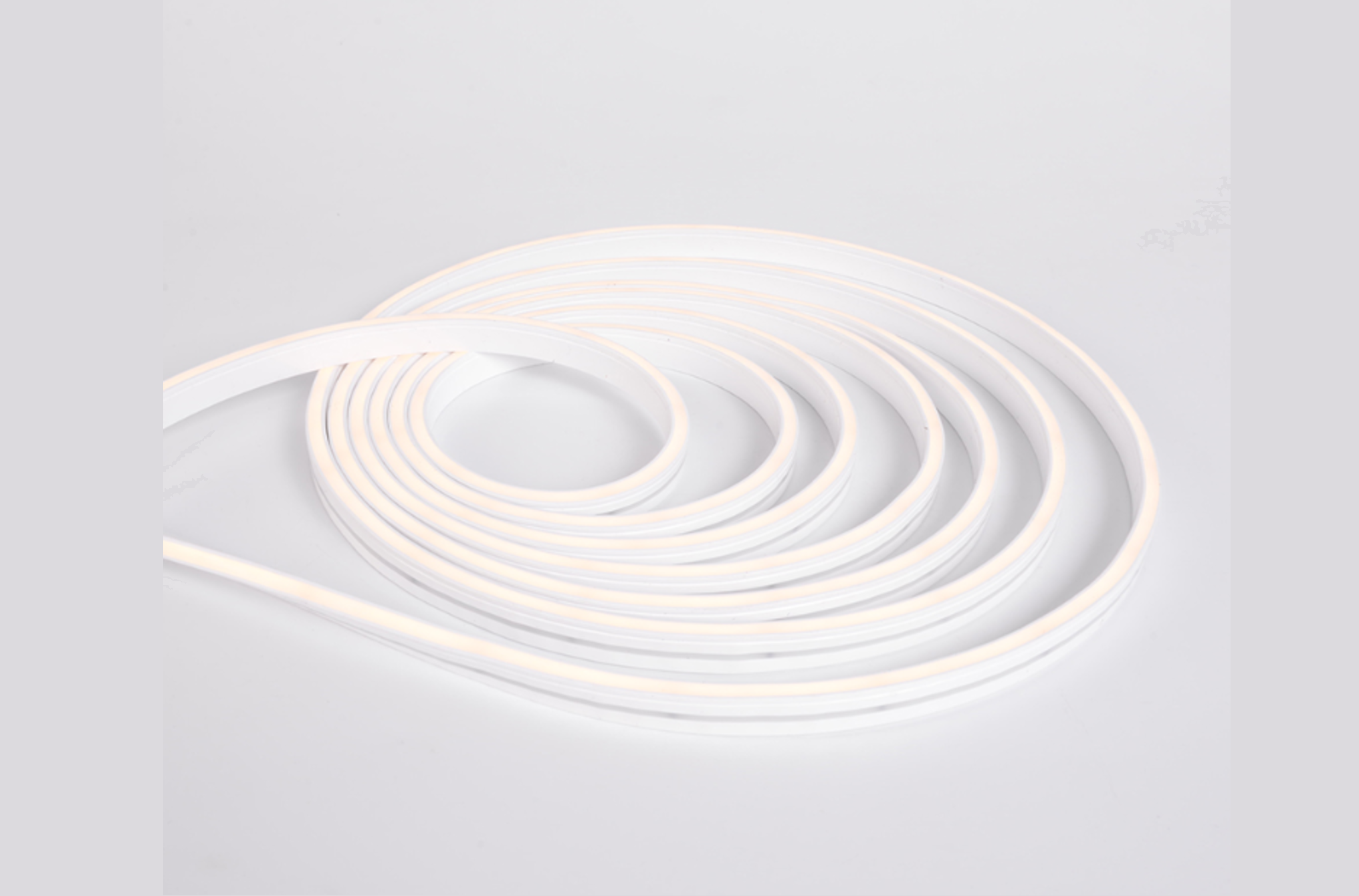 LED Neon
