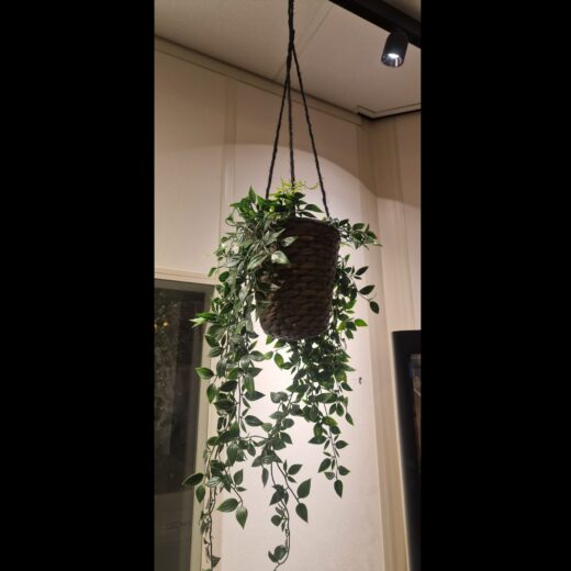 MAGNET Hanging Plant